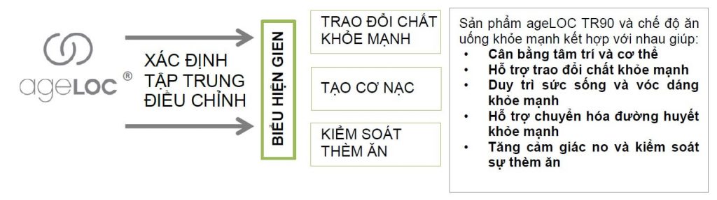 HƯỚNG TIẾP CẬN ĐỘT PHÁ TRONG KIỂM SOÁT CÂN NẶNG (1)